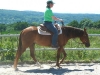 2014-06-07-sunny-schritt-mit-birgit