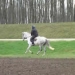 2010-04rpe_galopp