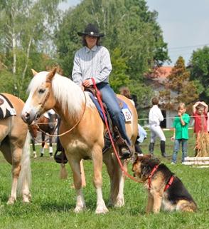2009-06-horsedog-salgen
