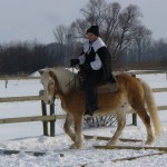 2010-02 Faschingsritt Gerd 02