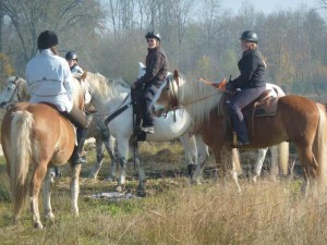 2011-11-06 Berittführer Gruppe wartet 01